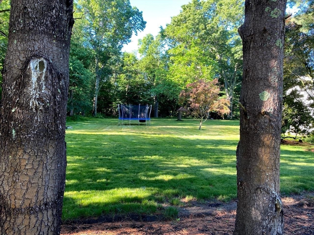 15 Winchester Dr, Lexington