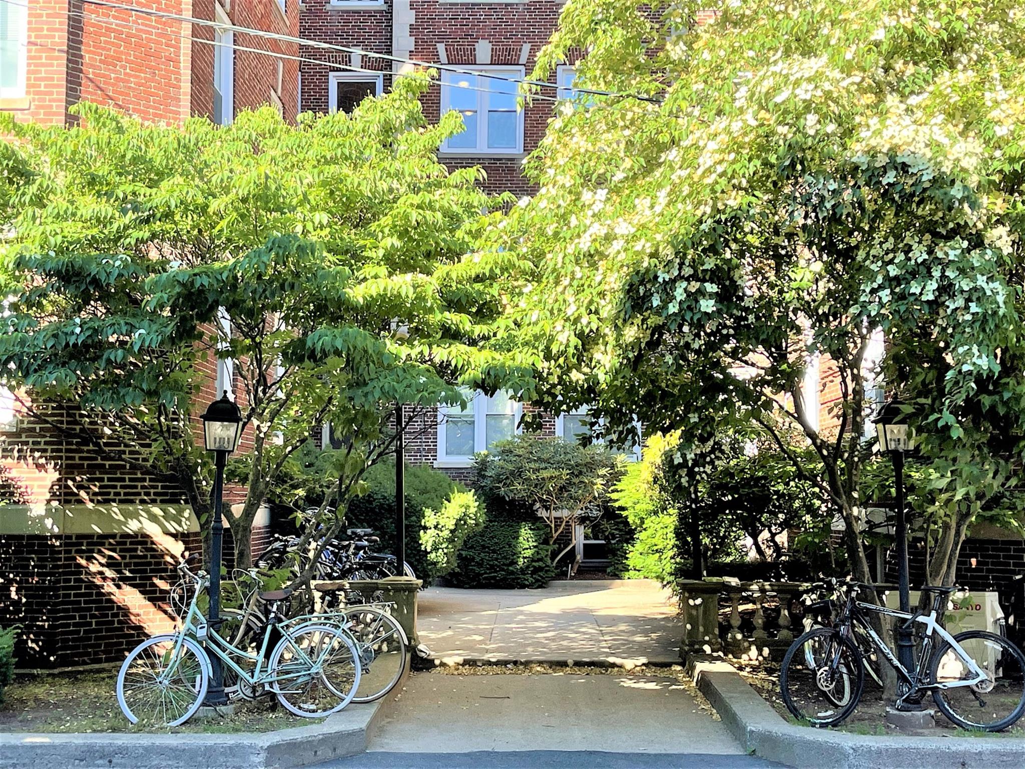 1.5 bed, 1 bath apartment for rent at 7 Craigie Cir Unit 33, Harvard Square — photo 11 of 12