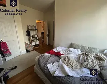 56 Egmont St, North Brookline