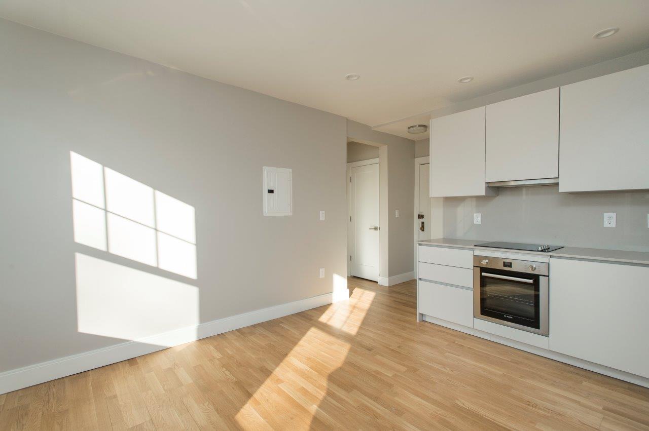 1 bed, 1 bath apartment for rent at 288 Chestnut Hill Ave Unit 17-CF, Brighton — photo 3 of 7
