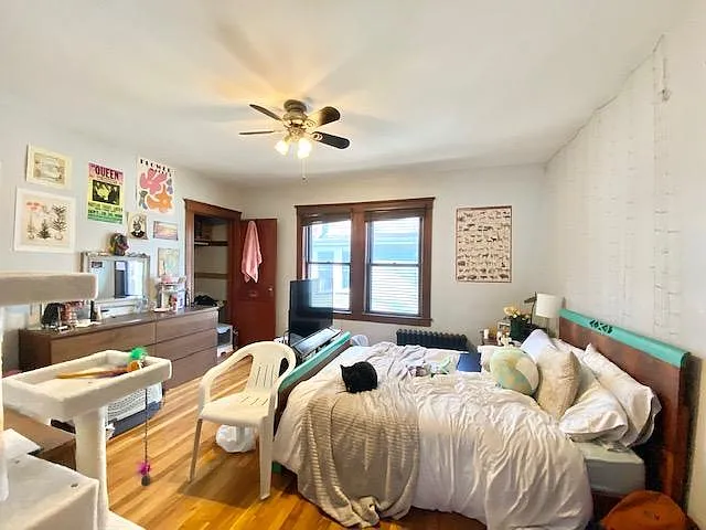 18 Sachem St, Mission Hill