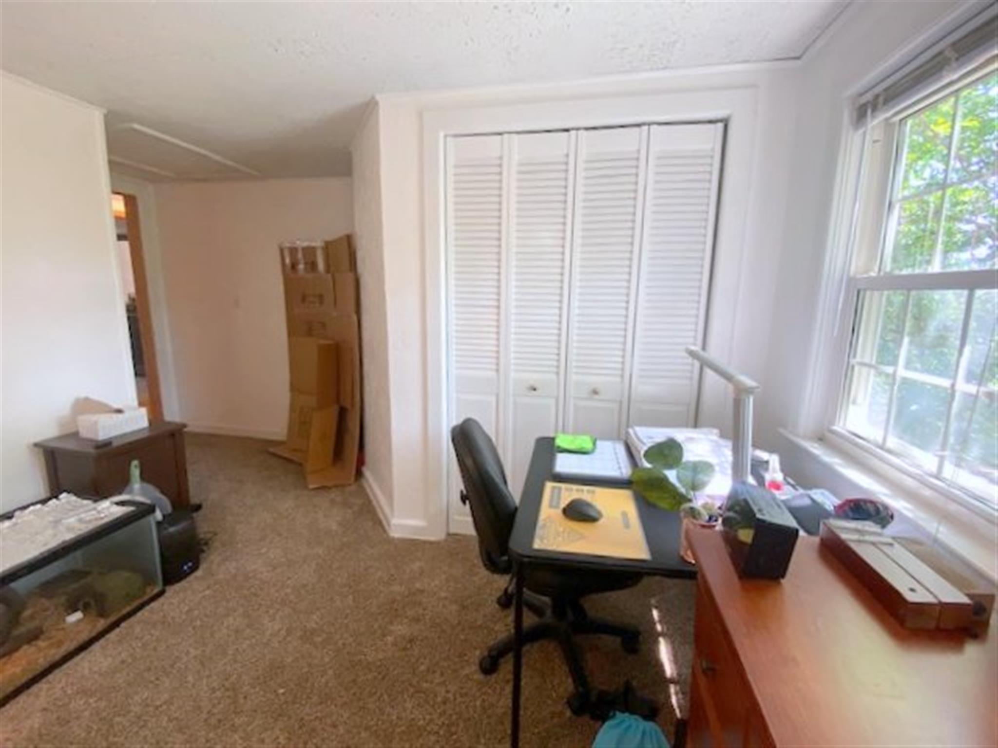 4 bed, 1.5 bath apartment for rent at 16 Summit Ave Unit 16, Prospect Hill — photo 17 of 30