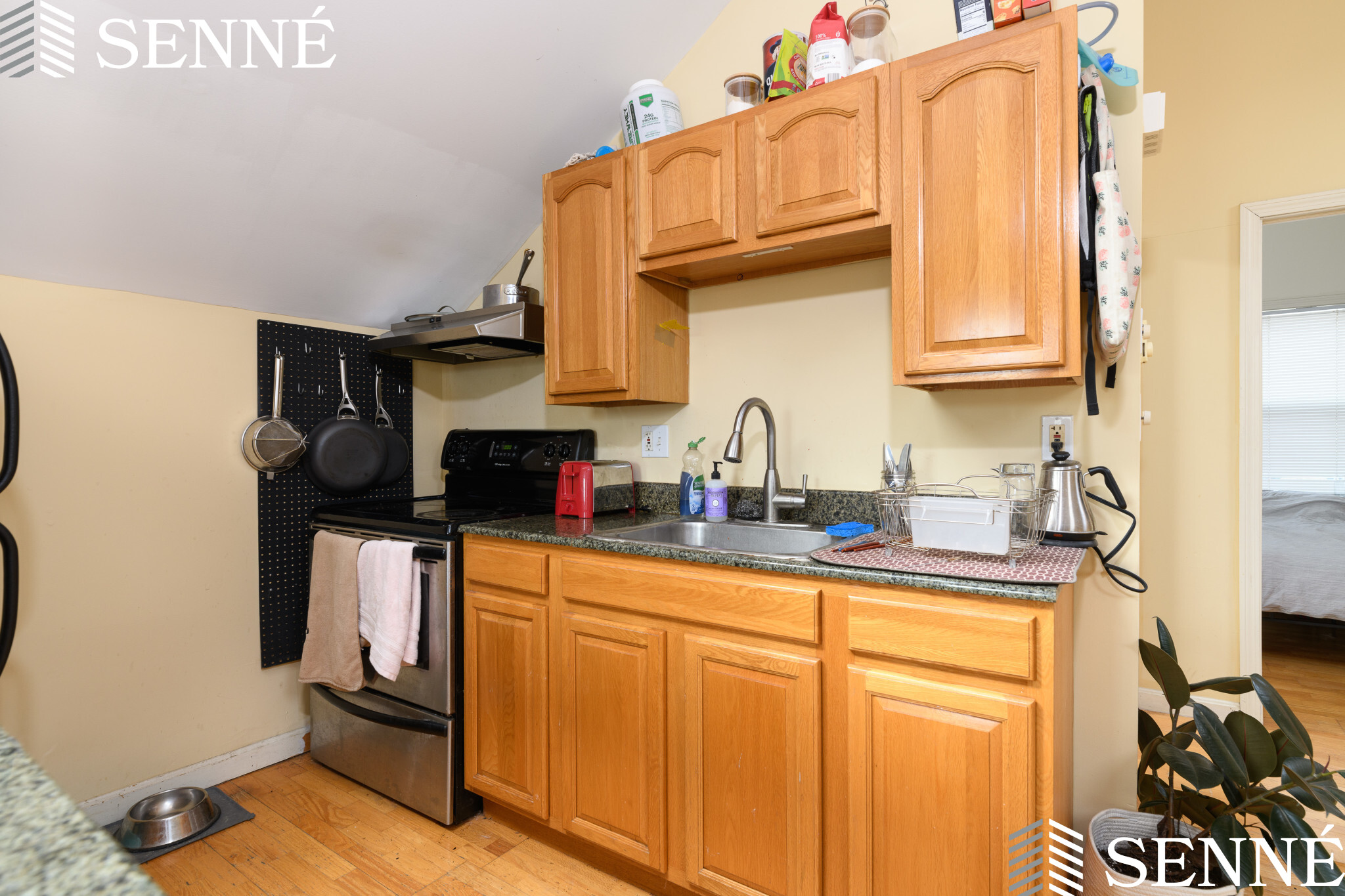 352 Norfolk St, Wellington-Harrington