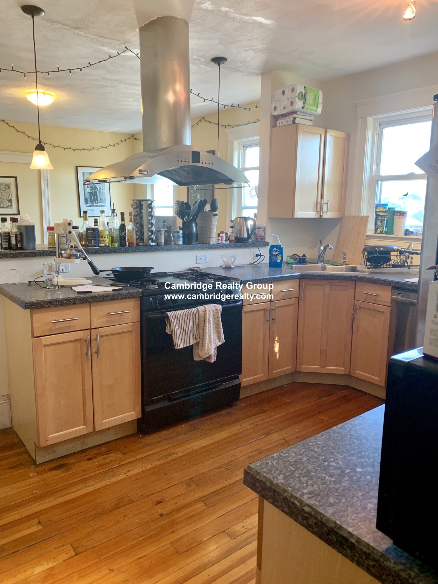 6 Belmont St, Spring Hill