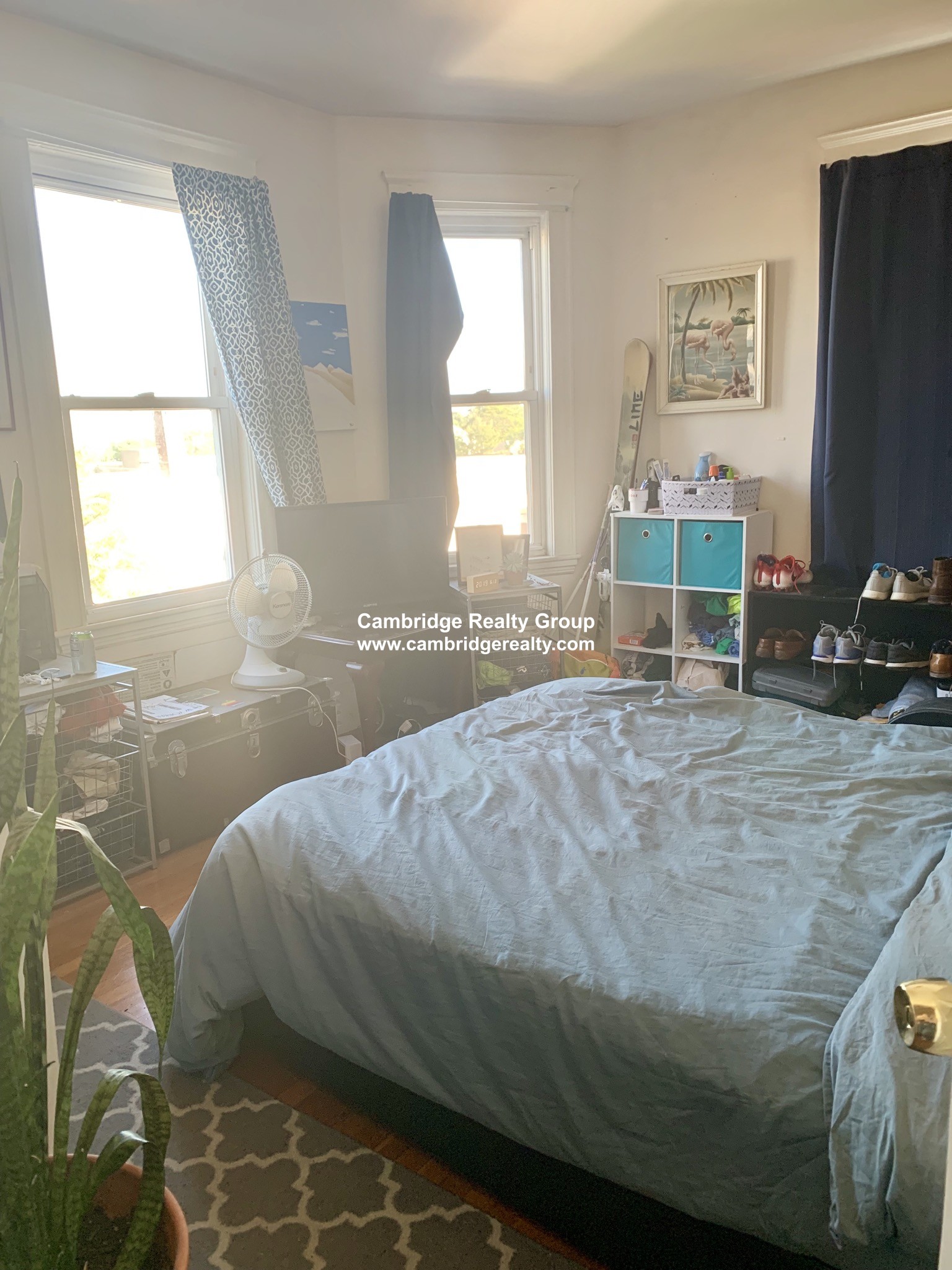 6 Belmont St, Spring Hill