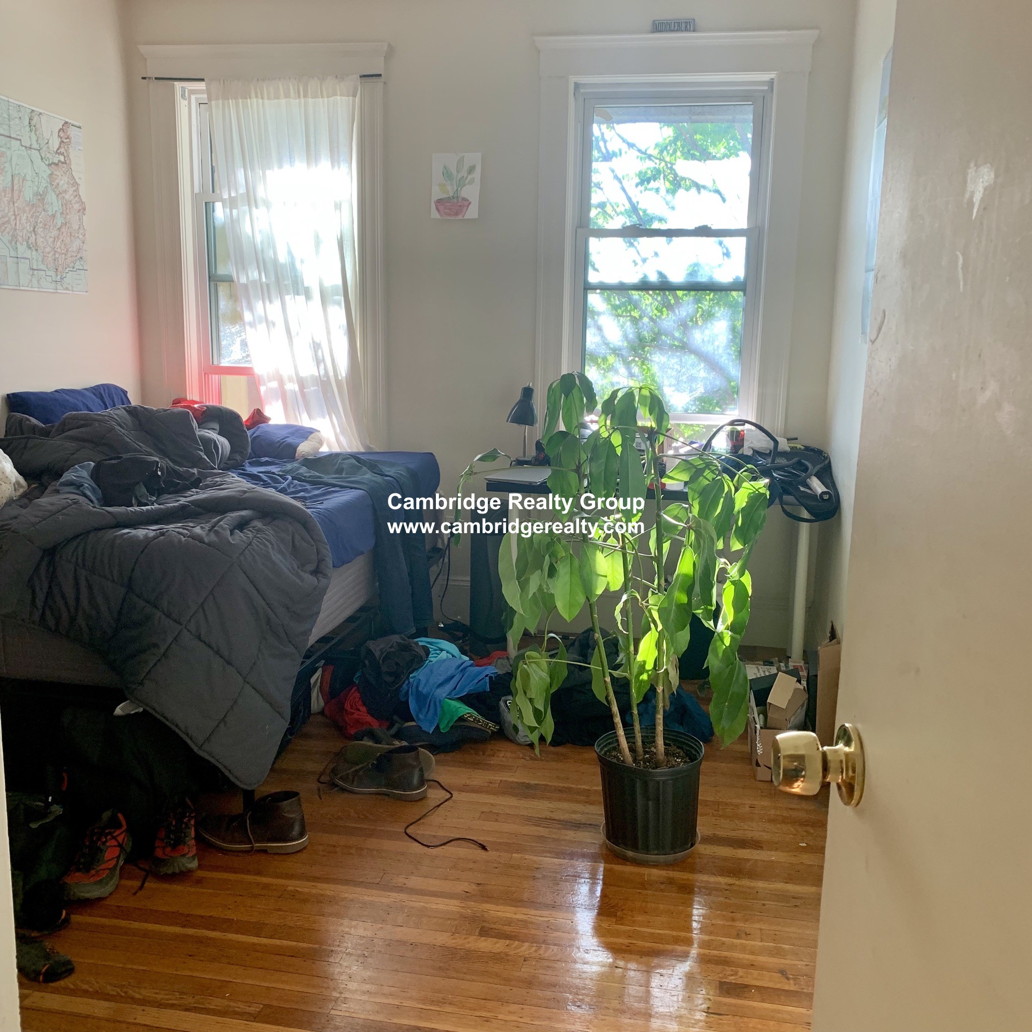 6 Belmont St, Spring Hill