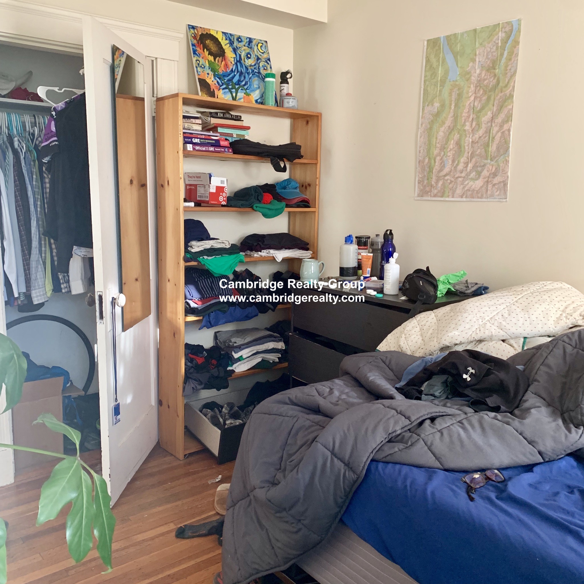 6 Belmont St, Spring Hill