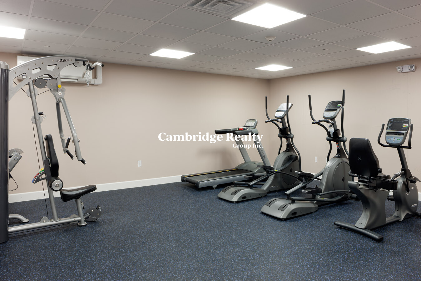 7 Cameron Ave, North Cambridge