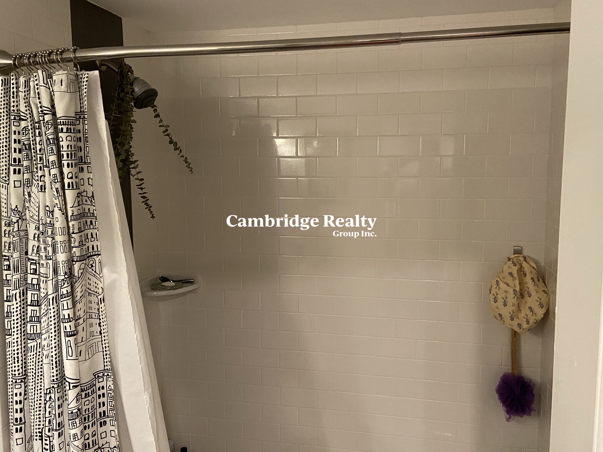 17 Bow St, Prospect Hill