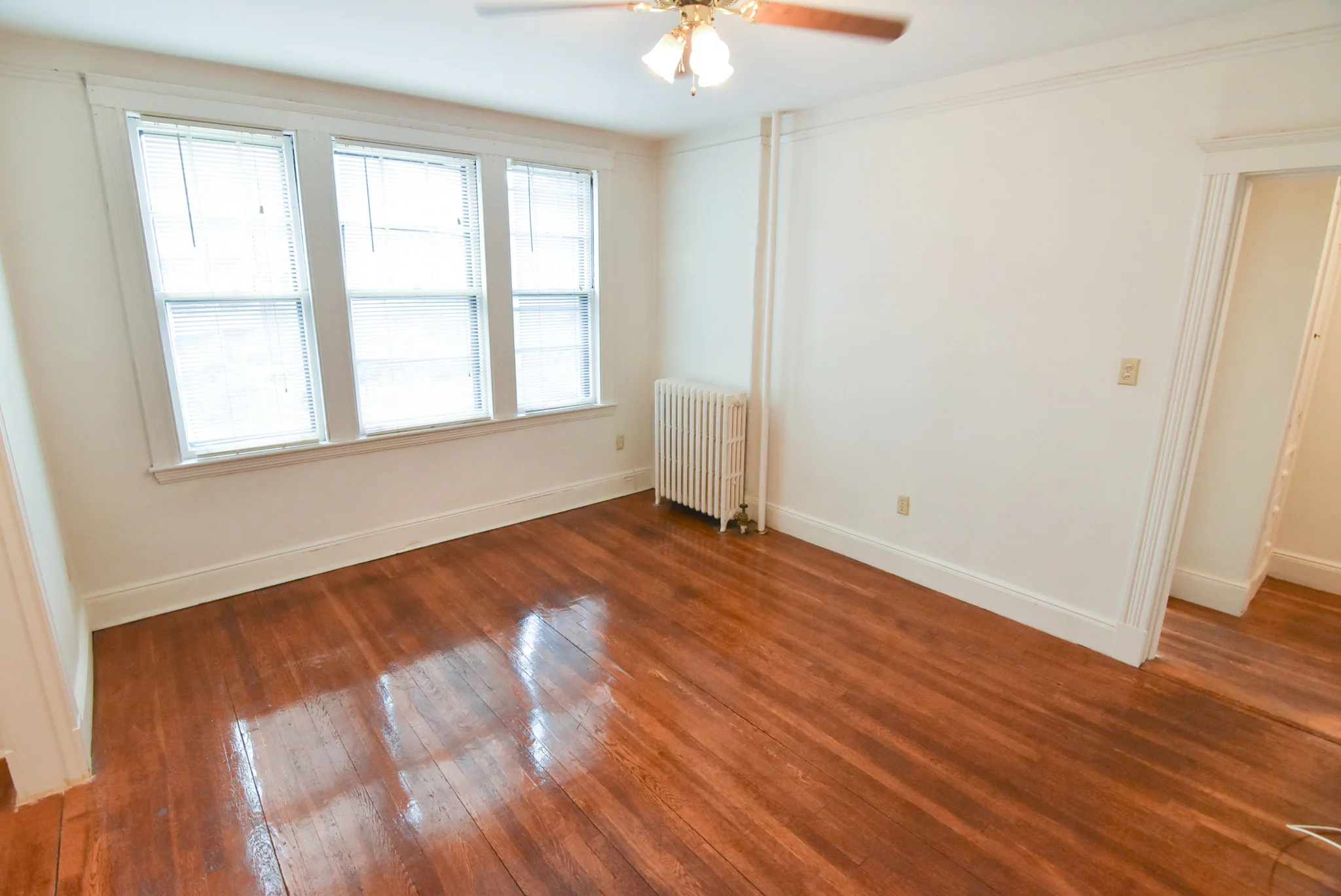 28 Sidlaw Rd, Brighton