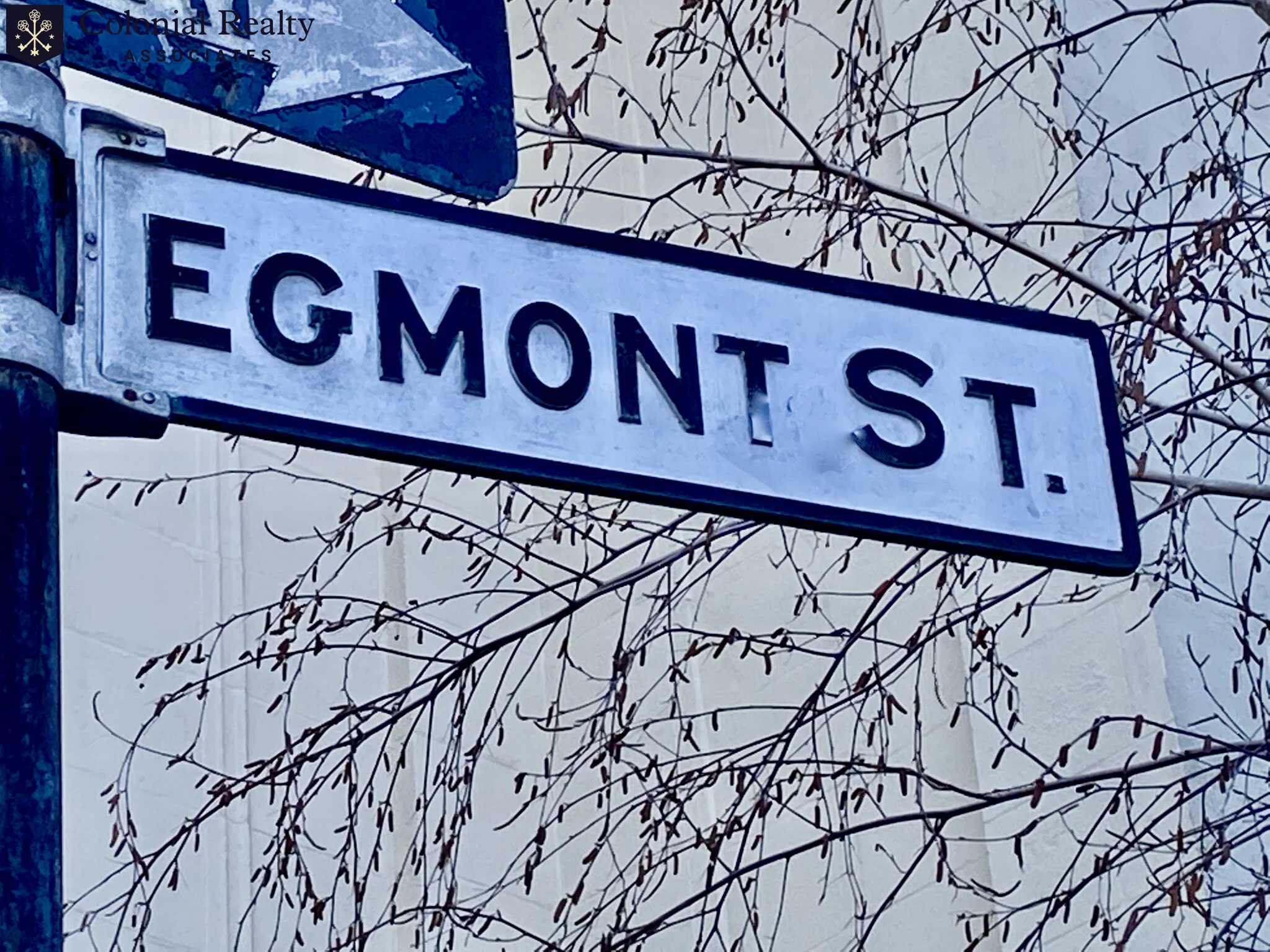 60 Egmont St, North Brookline