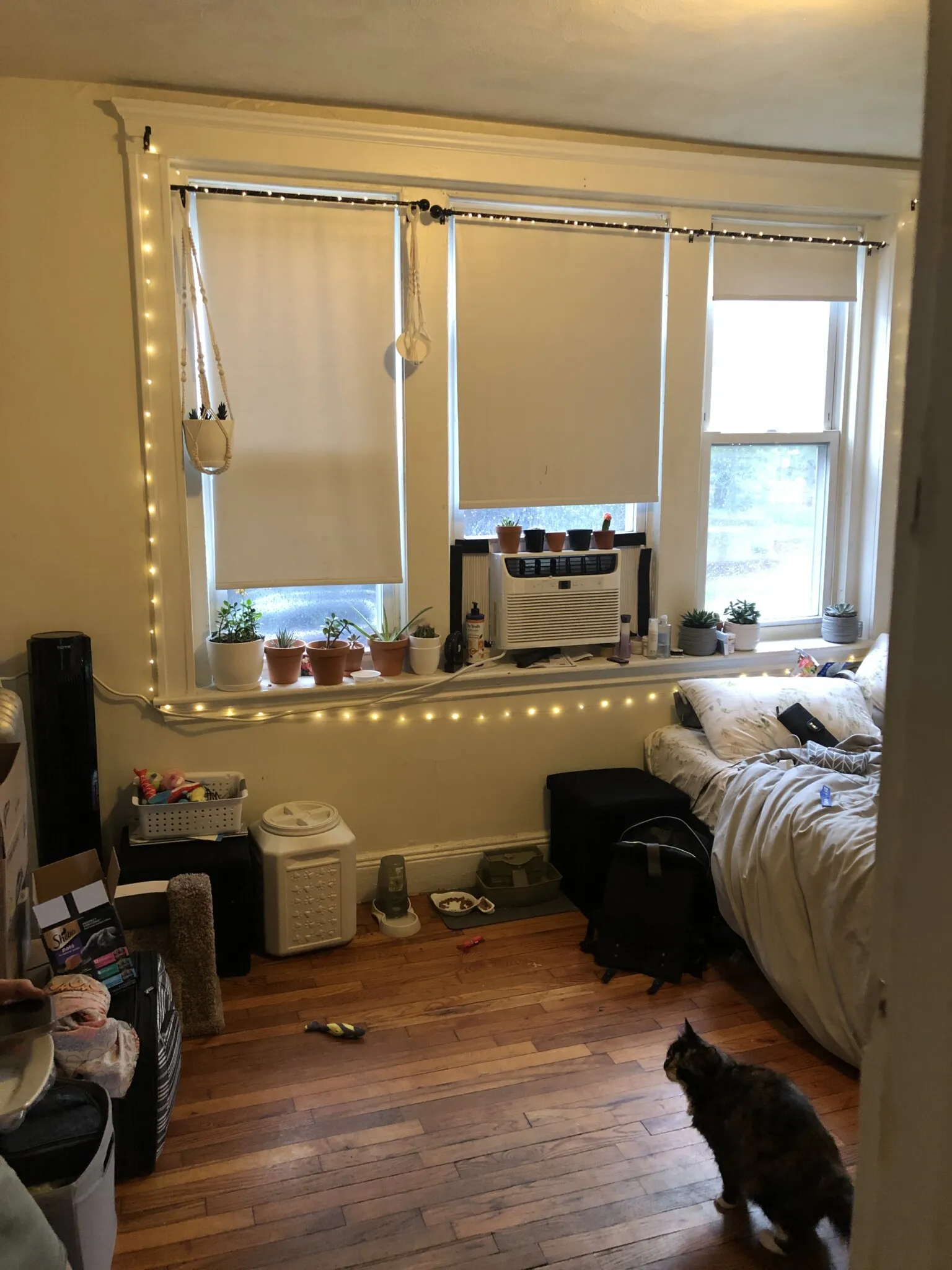 25 Walbridge St, Allston