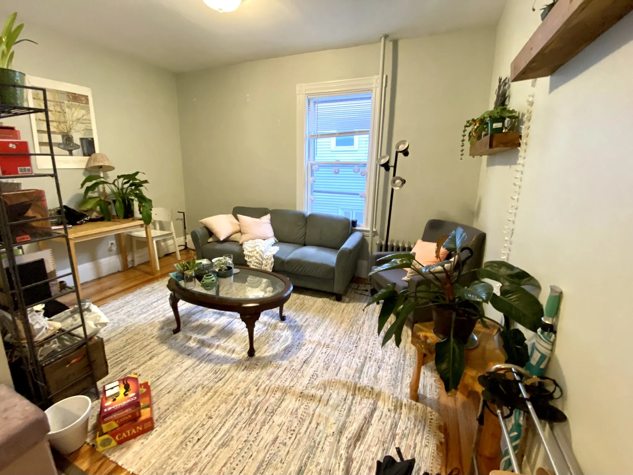 3 Oswald St, Mission Hill