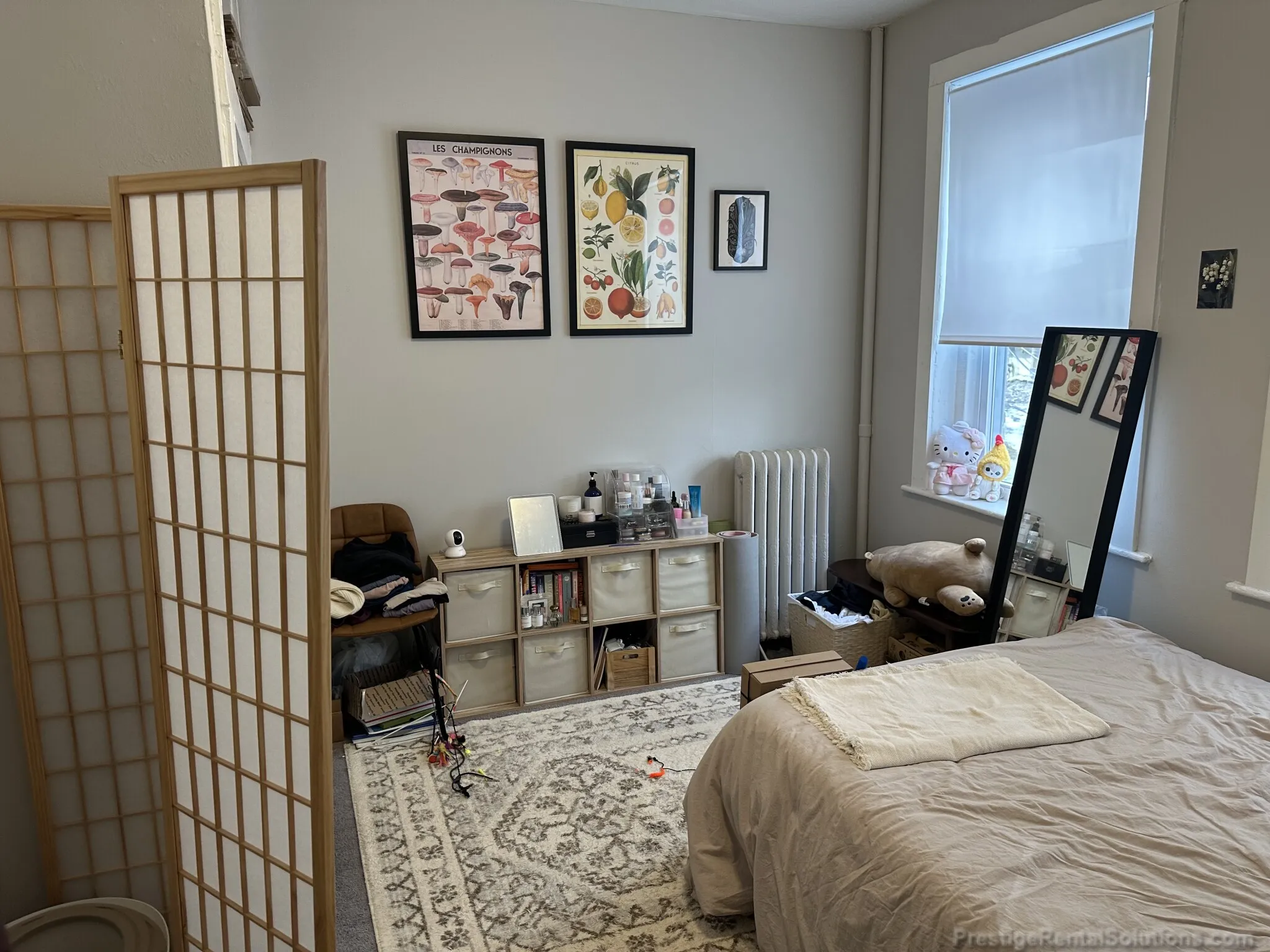 159 Kelton St, Brighton