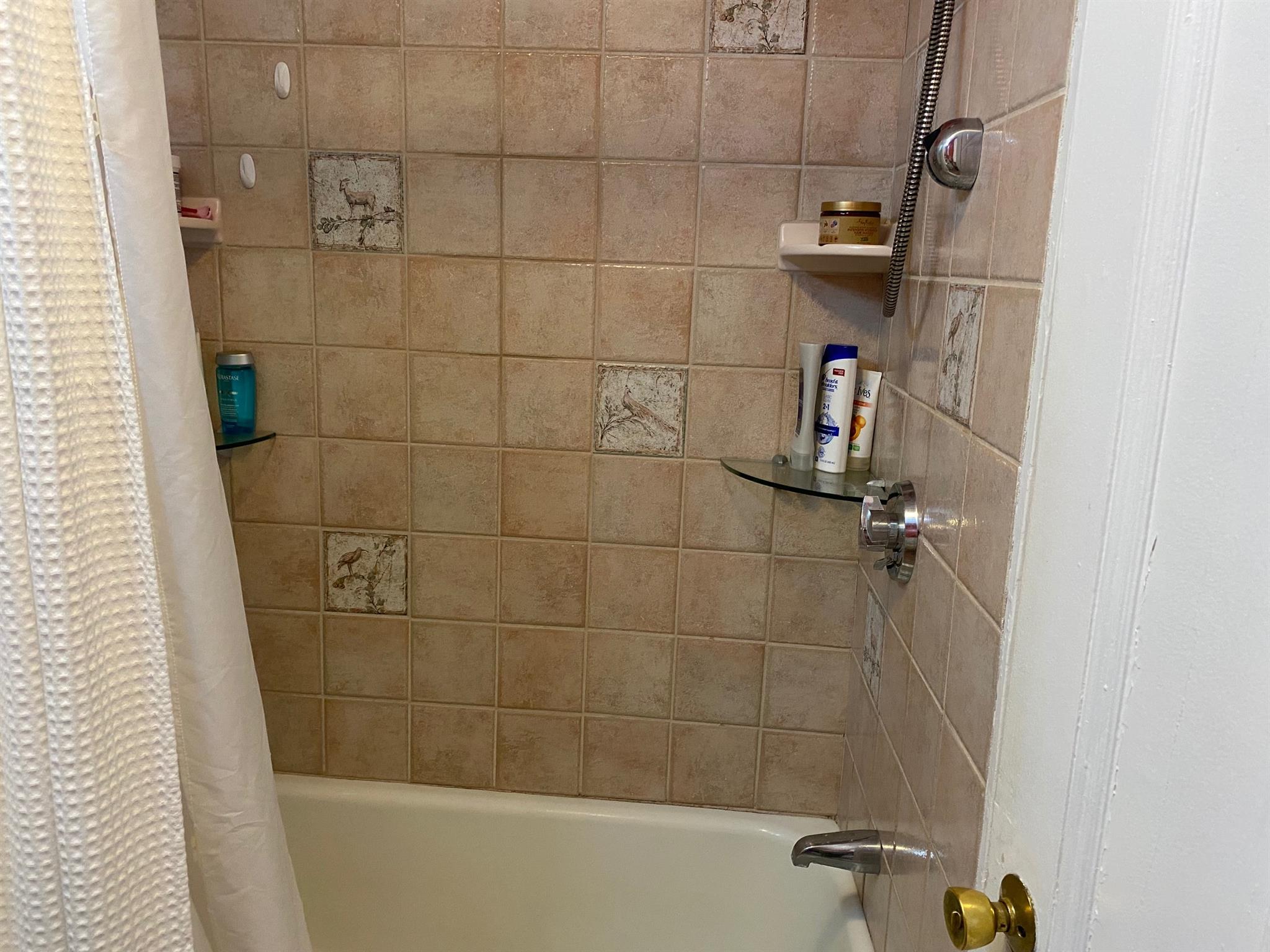 1 bed, 1 bath apartment for rent at 38 Dana St Unit 1, Harvard Square — photo 10 of 18