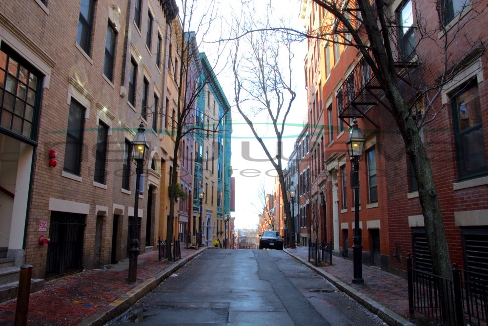 97 Myrtle St, Beacon Hill