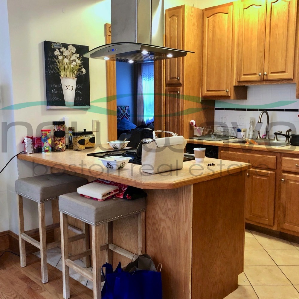 97 Myrtle St, Beacon Hill