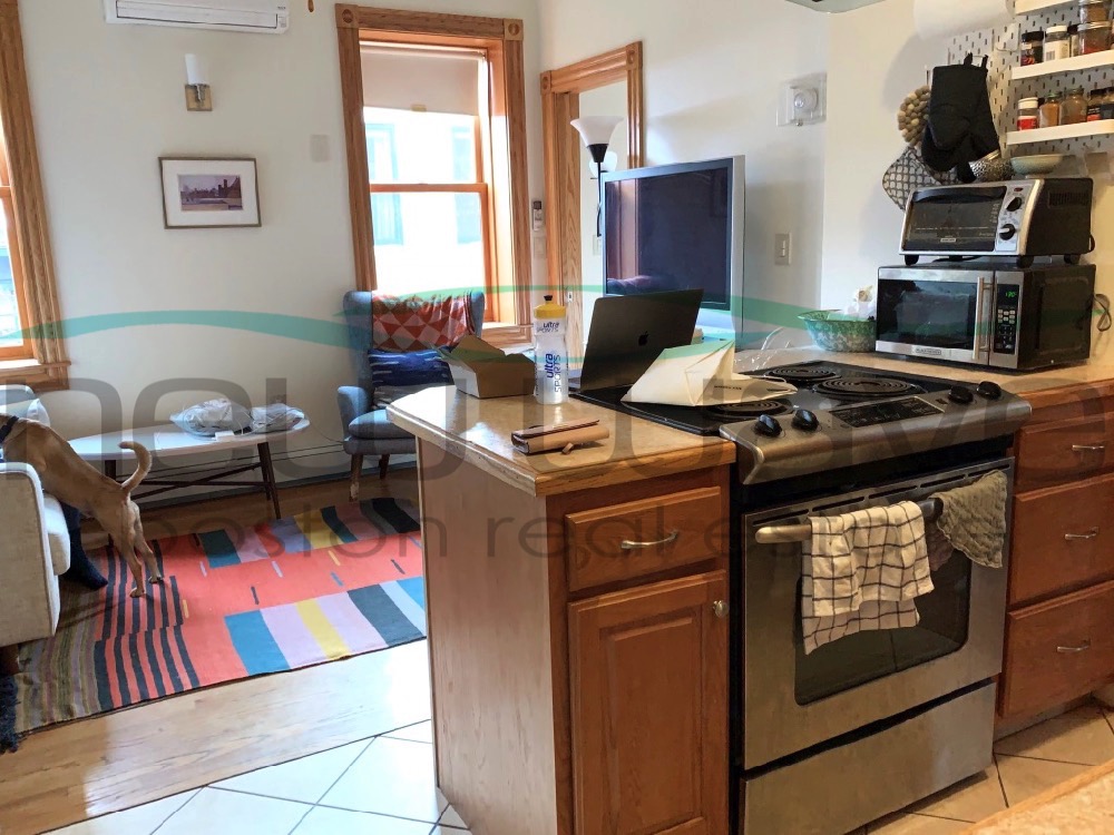 97 Myrtle St, Beacon Hill