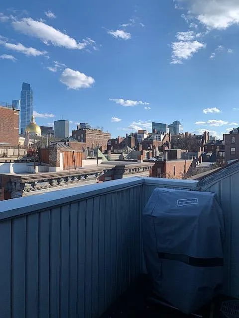 45 Myrtle St, Beacon Hill