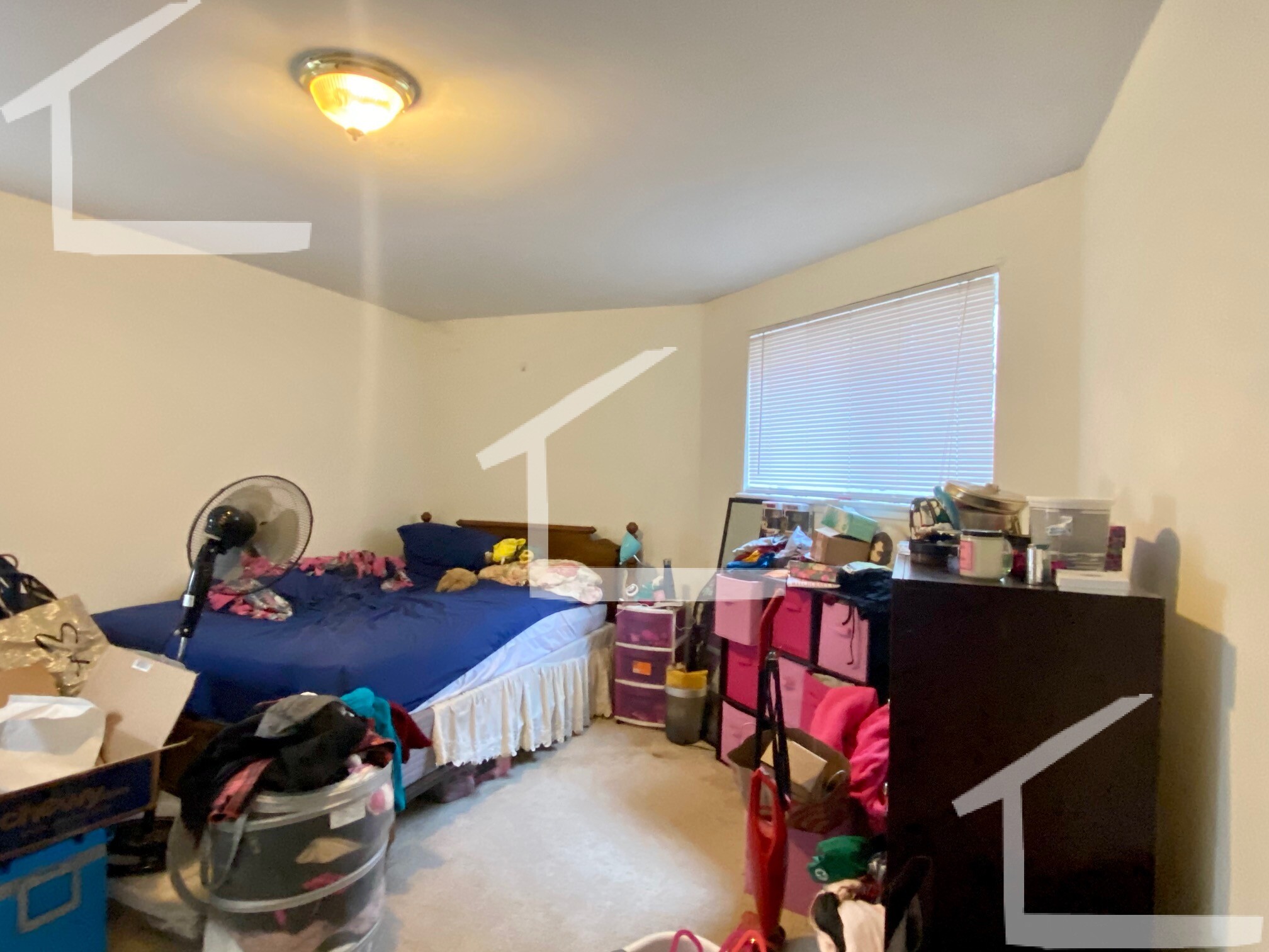 8 Griggs St, Brighton