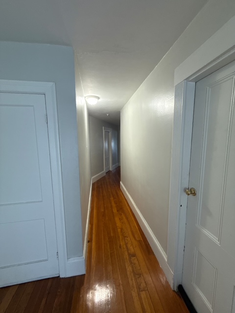 53 Elm St, Spring Hill