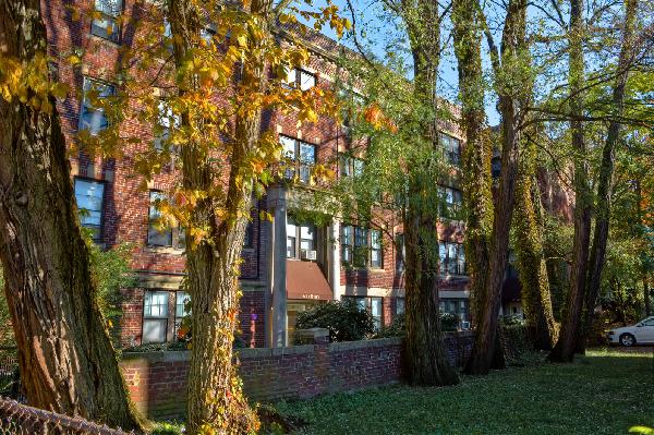 3 Lothian Rd, Brighton