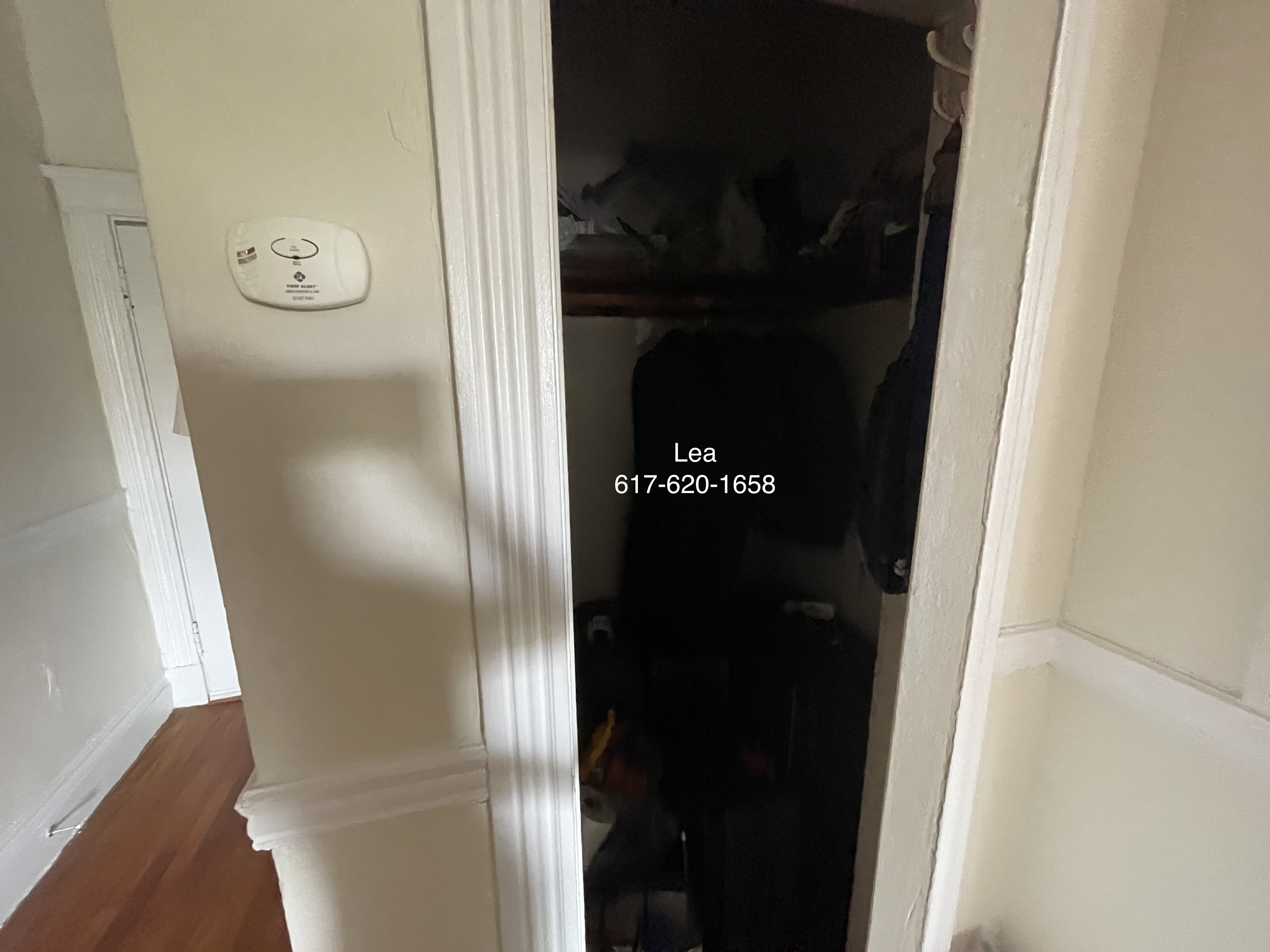 5 Walbridge St, Brighton