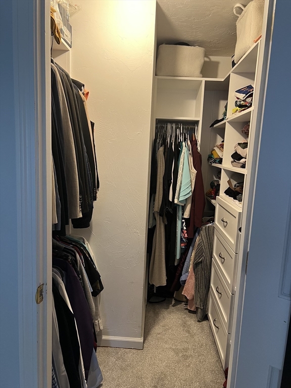 51 Ireta Rd, Shrewsbury