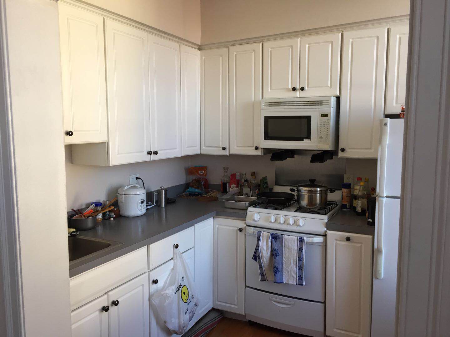 18 Haviland St, Fenway