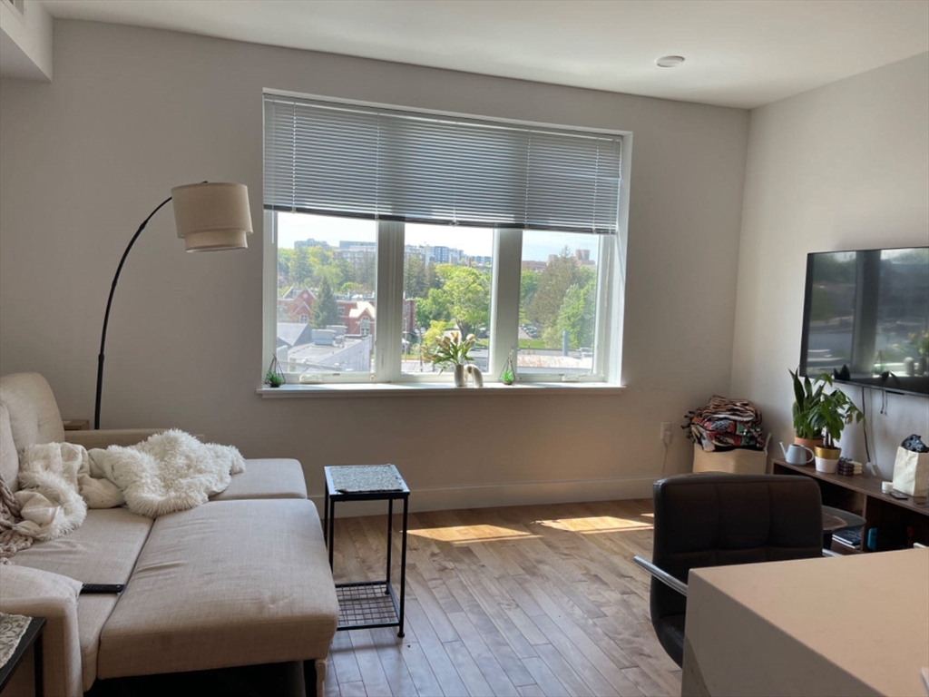 50 Hichborn St, Brighton