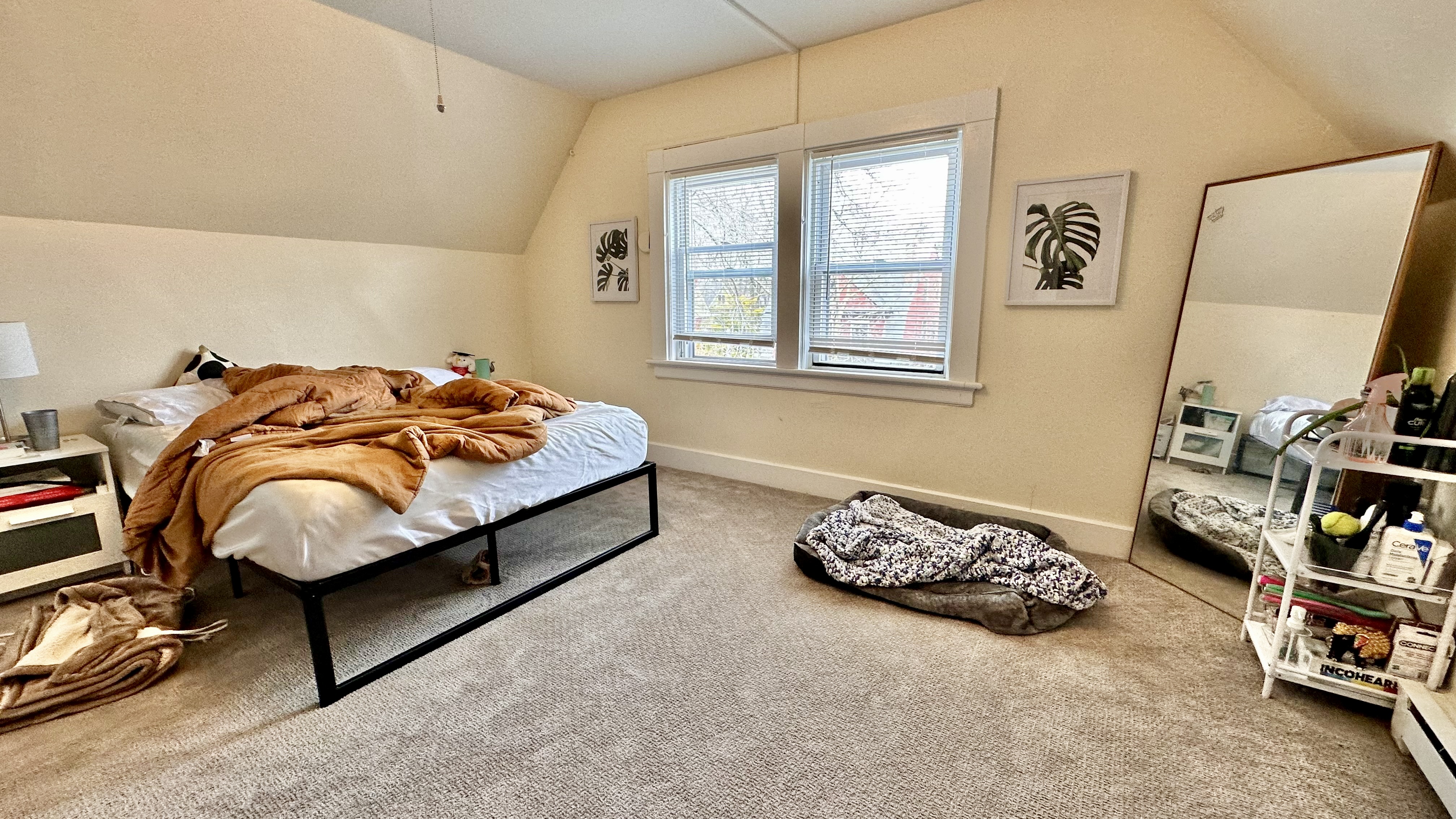 5 bed, 2 bath apartment for rent at 162 Babcock St Unit 3, Coolidge Corner — photo 3 of 19