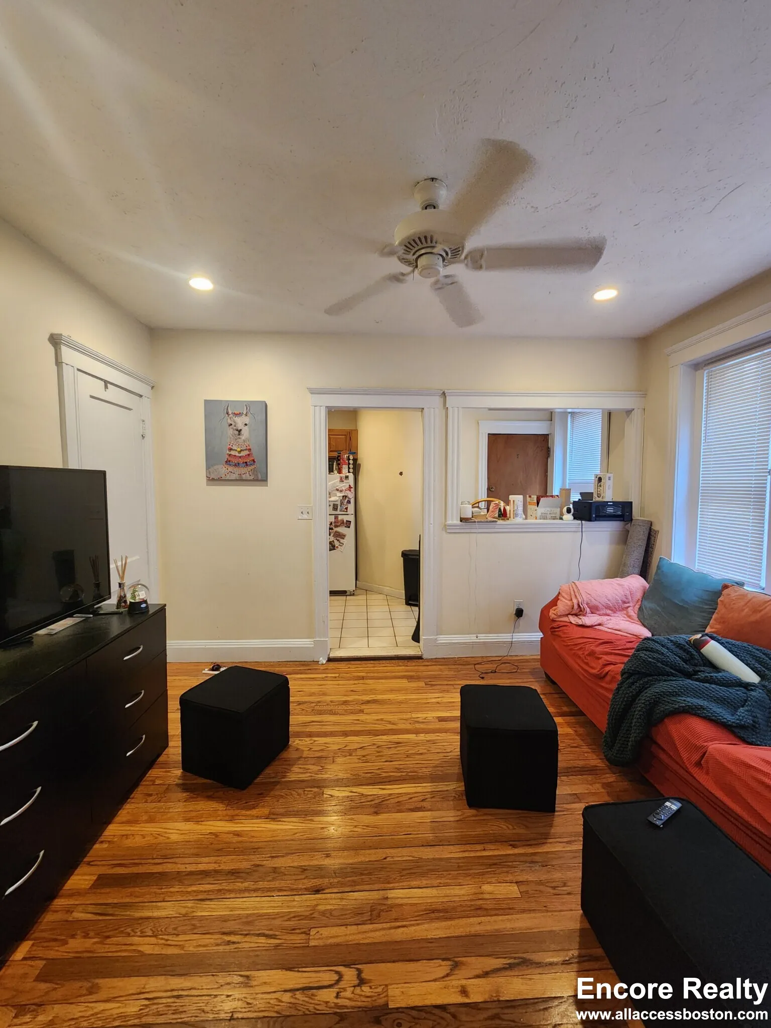 240 Kelton St, Brighton