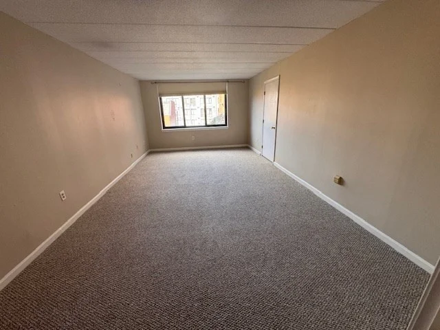 85 Brainerd Rd, Brighton