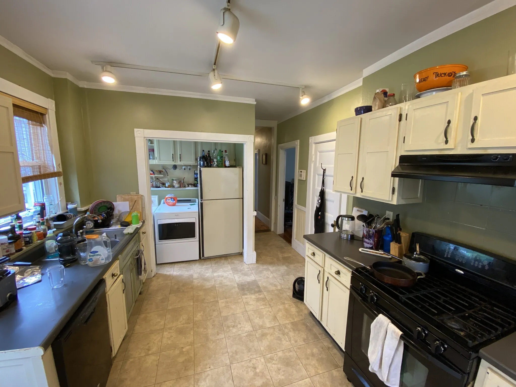 12 Oswald St, Mission Hill