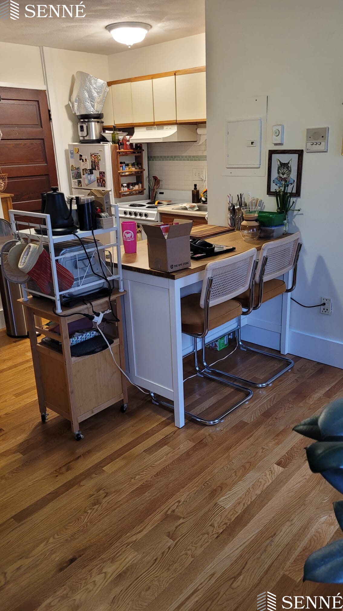 14 Garrison Ave, West Somerville