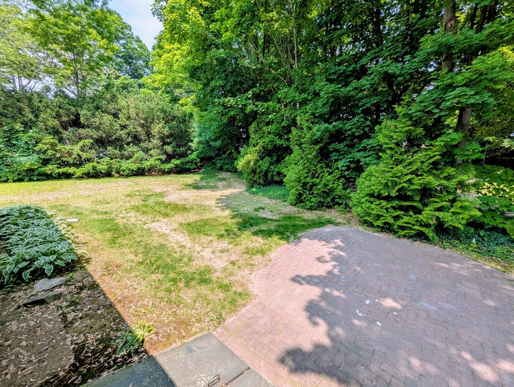 1 Conlyn Ave, Franklin