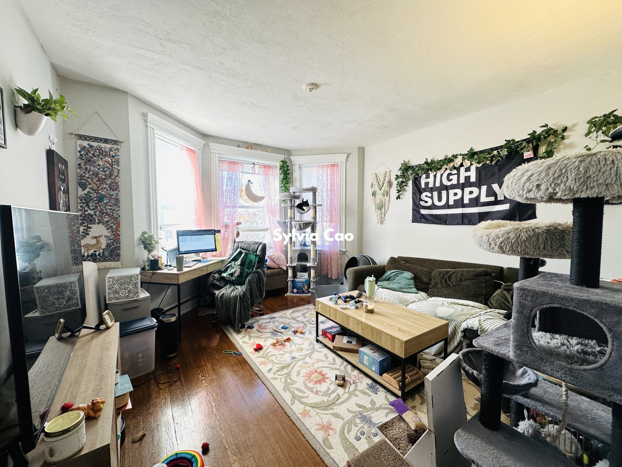 368 Riverway, Mission Hill