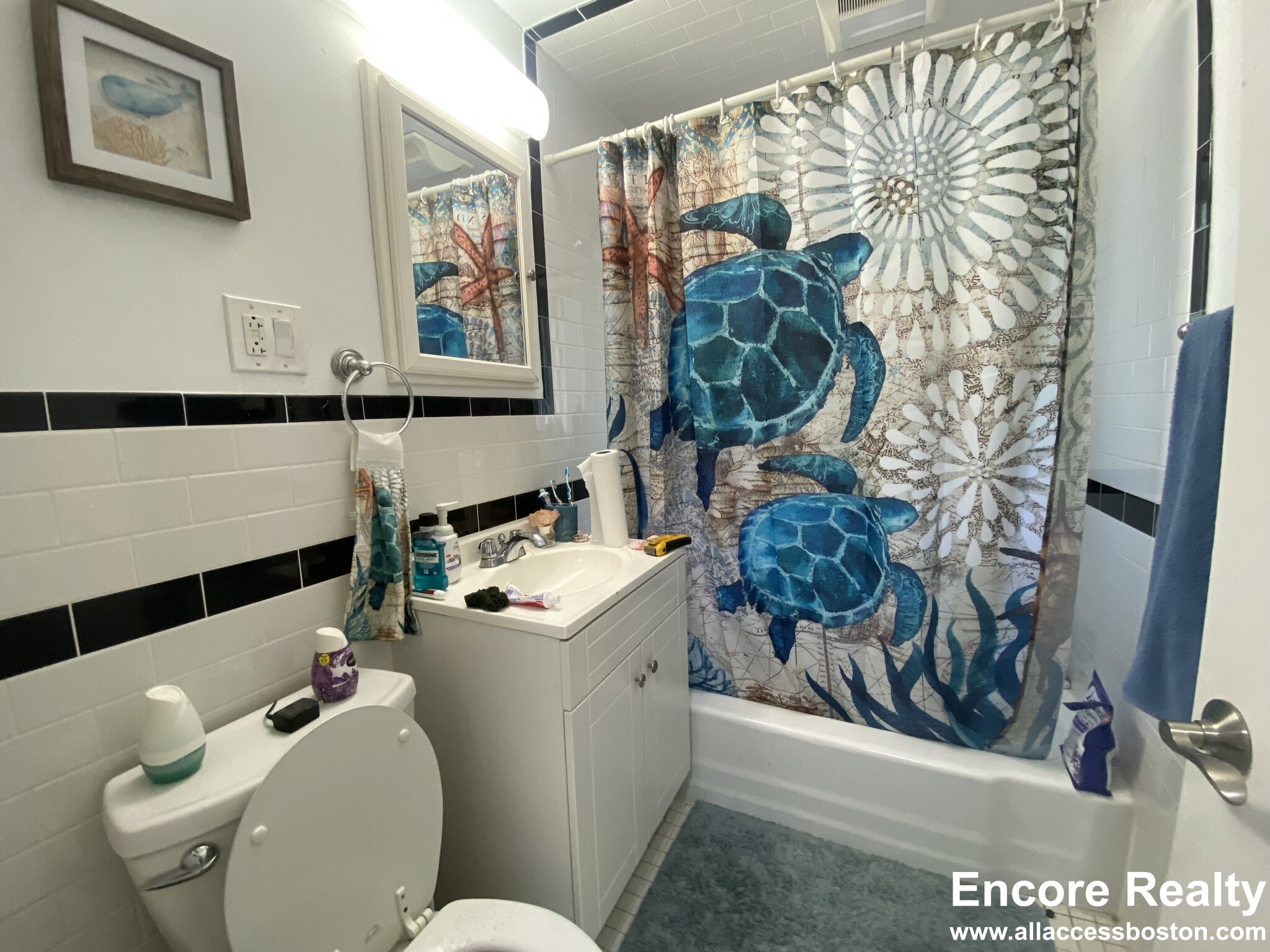 15 Euston Rd, Brighton