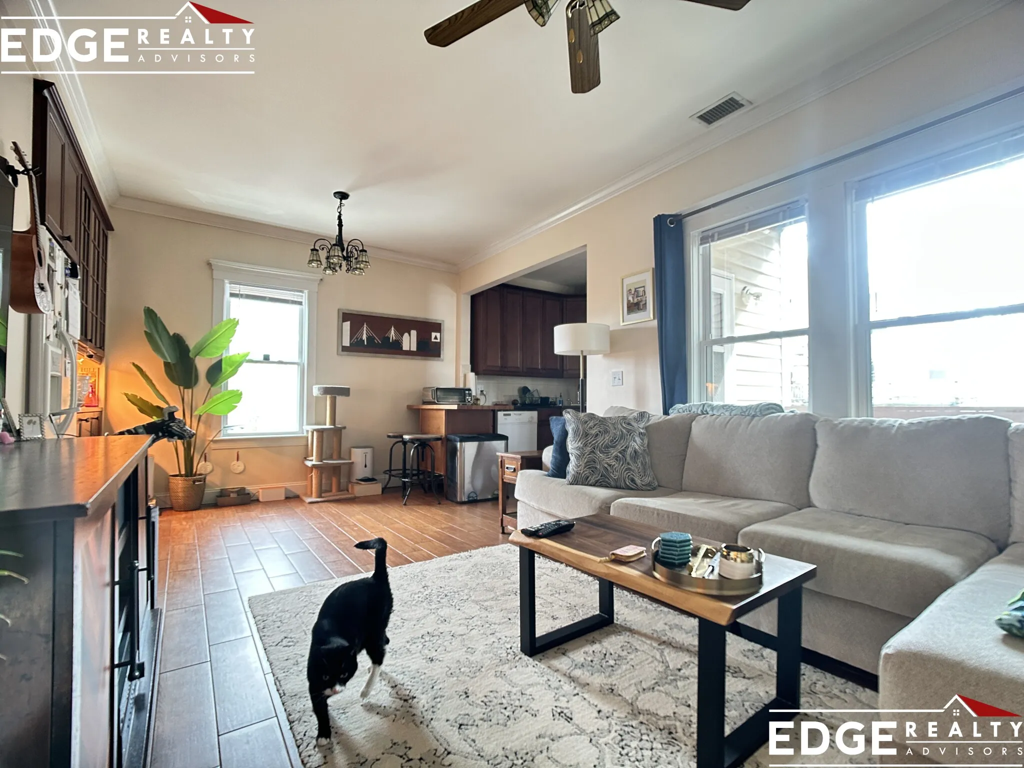 6 Delaware Pl, Brighton