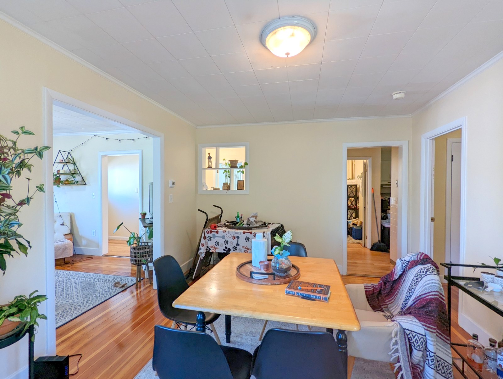 7 Belknap St, West Somerville