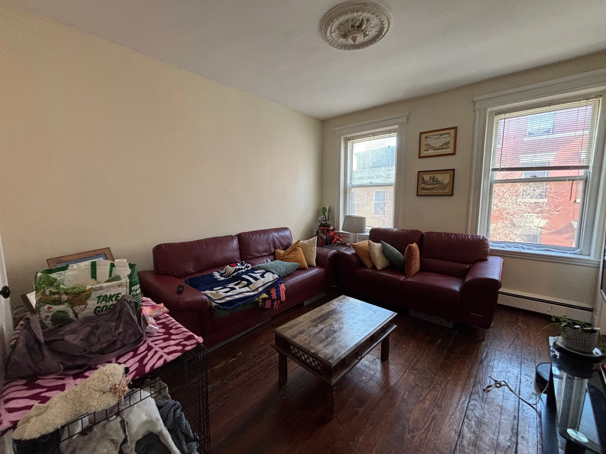 9 Grove St, Beacon Hill