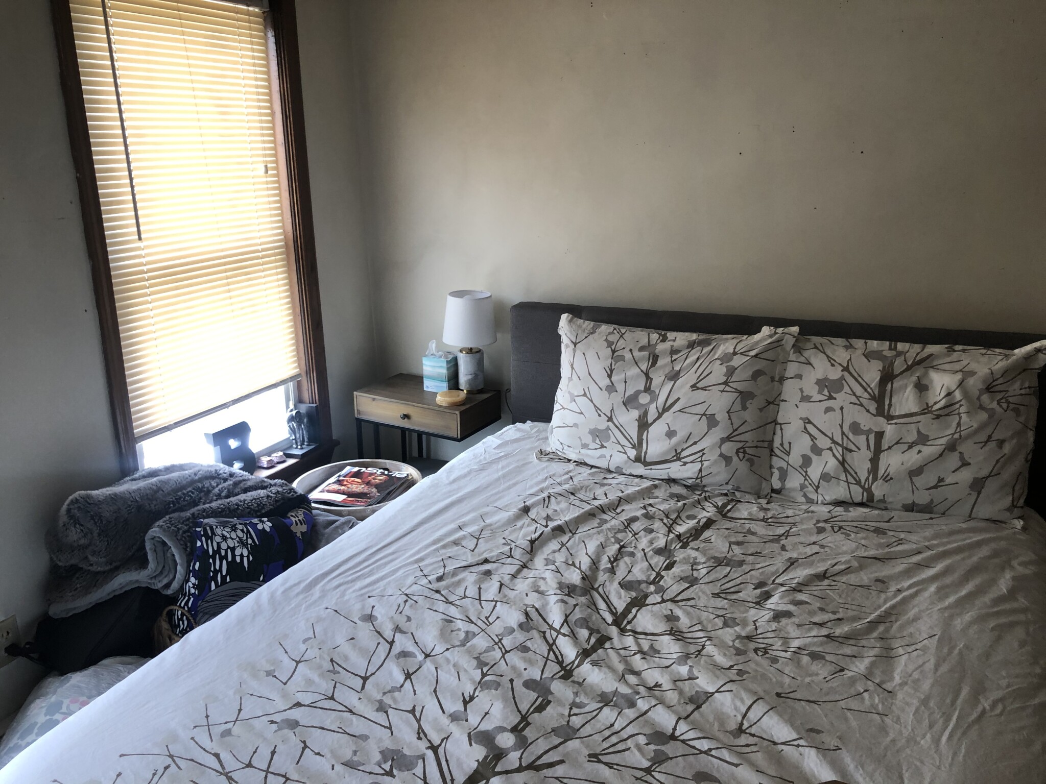 12 Abbey Rd, Lower Allston