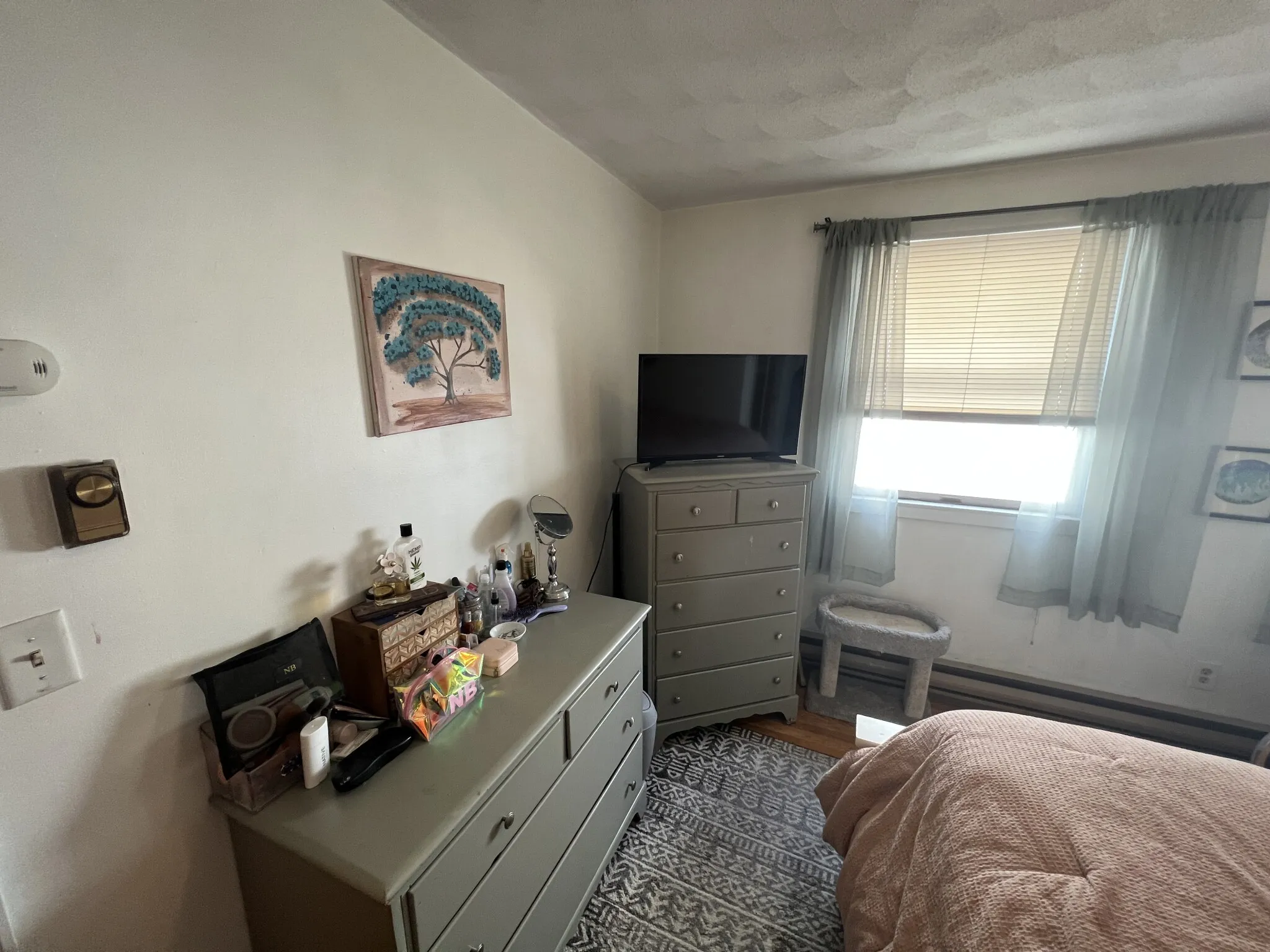 217 Holland St, Teele Square