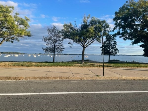 41 Moseley, Dorchester