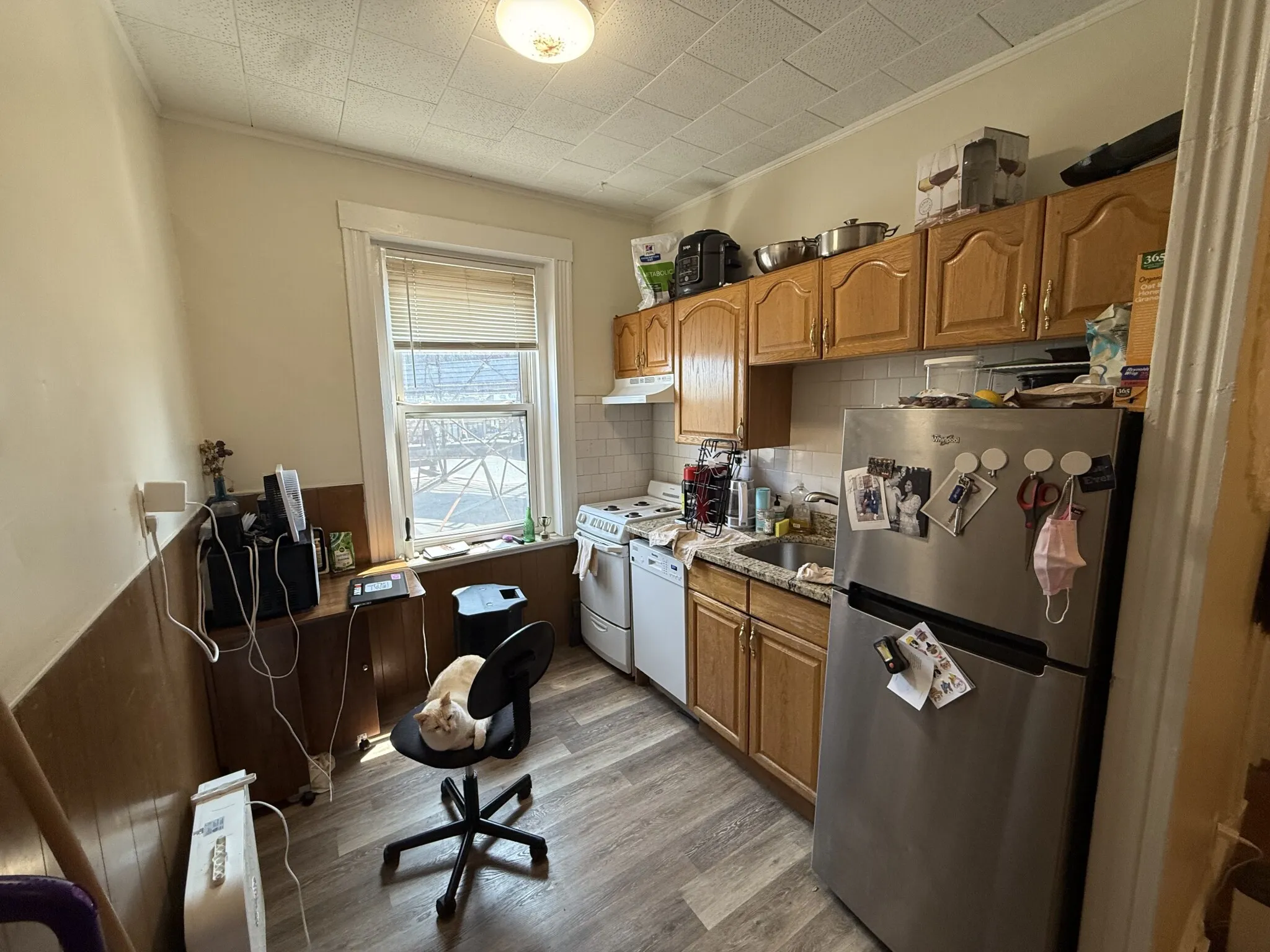 126 Warren St, Brighton