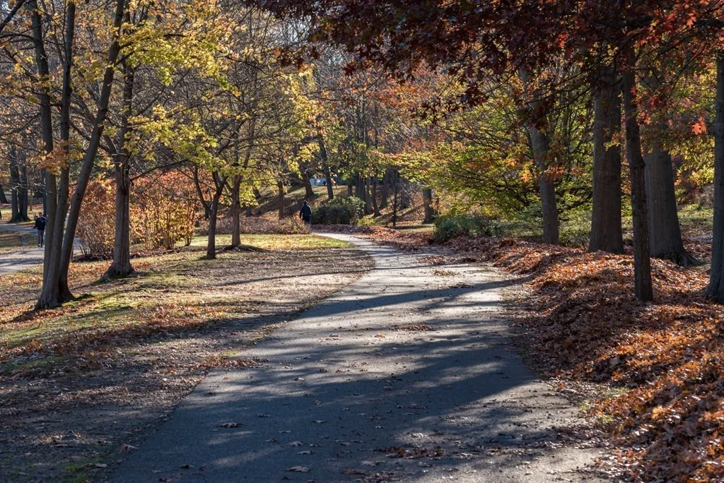 33 Pond Ave, Brookline Village