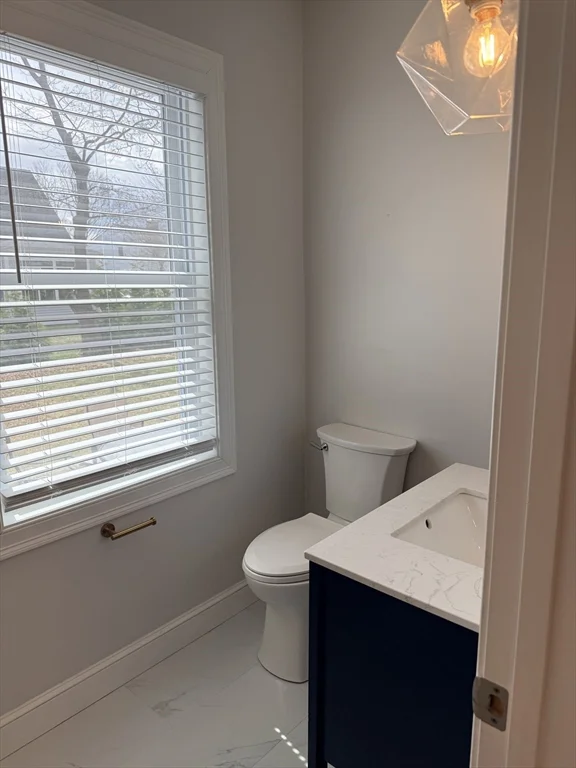 20 Chestnut St, Natick