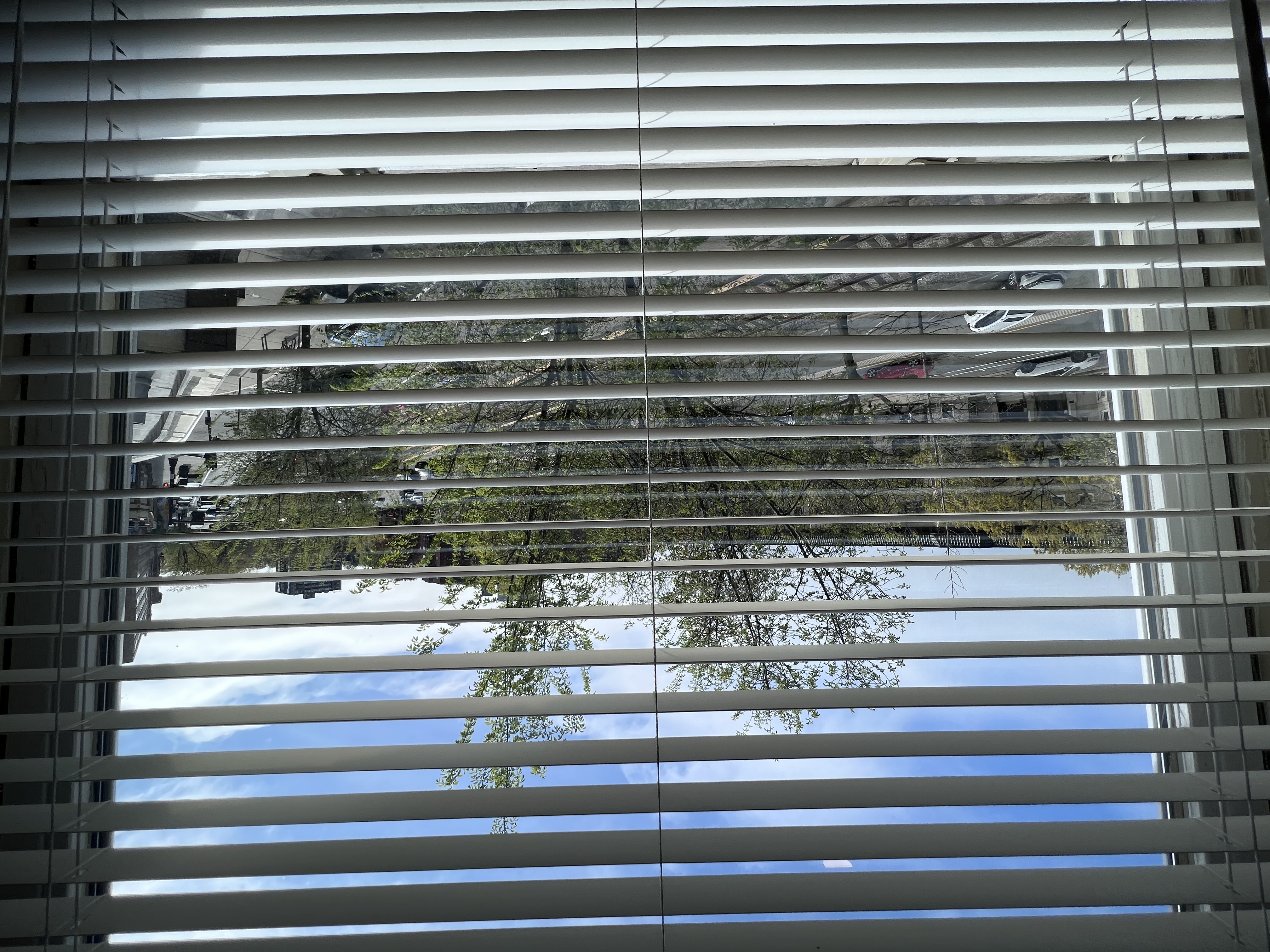 1406 Beacon St, Corey Hill