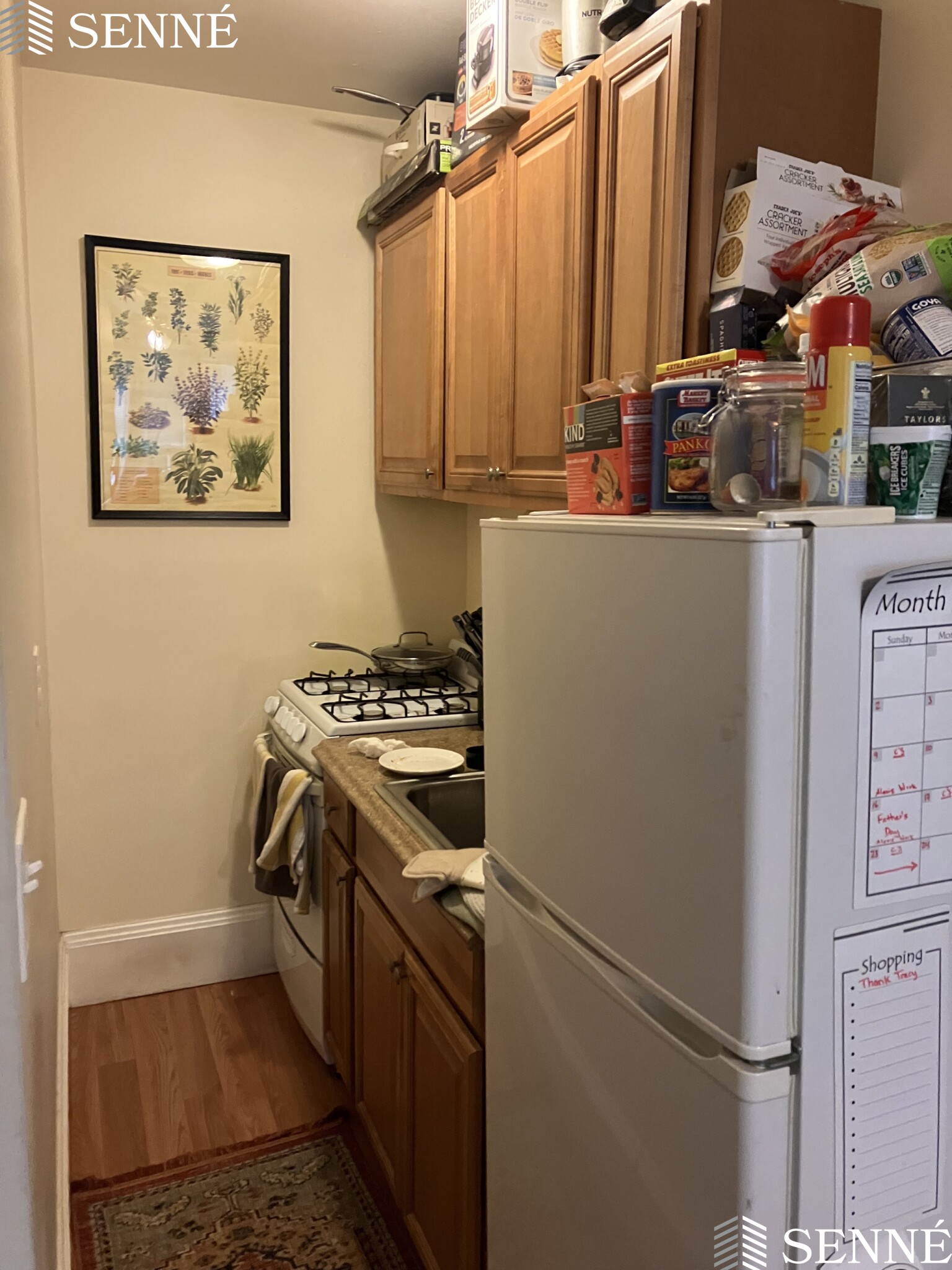 53 Laurel St, Ward Two