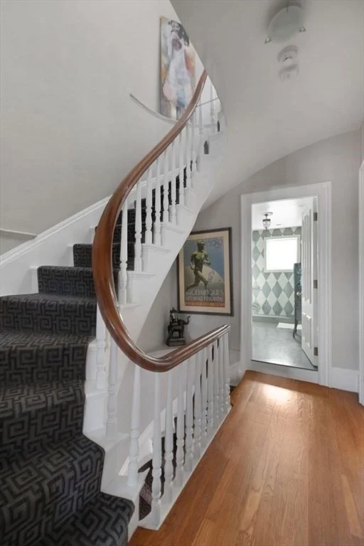 48 Appleton, South End